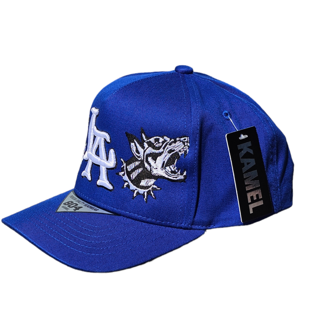 🔥Gorra Los Angeles 👌🧢